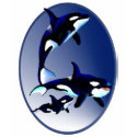 Killer Whale Family Oval Shirt