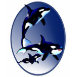 Killer Whale Family Oval Shirt