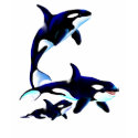Killer Whale Family Shirts