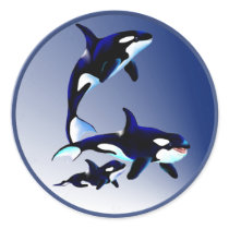 Killer Whale Family Stickers