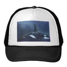 Killer Whale Hats