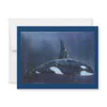 Killer Whale invitations