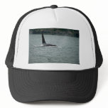 Killer Whale-large male swimming at surface Trucker Hat