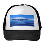 Killer Whale Mesh Hat