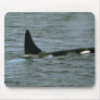 Killer whale mousepads
