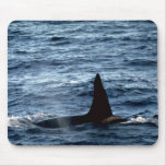 Killer whale mousepads