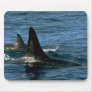 Killer whale mousepads