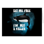 Killer Whale - Orca cards