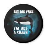 Killer Whale - Orca magnets