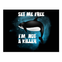 Killer Whale - Orca Post Cards