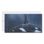 Killer Whale photo cards