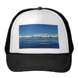 Killer Whale Pod Hats