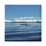 Killer Whale Pod magnets