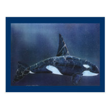Killer Whale Post Cards