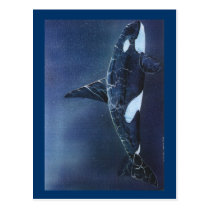 Killer Whale postcards