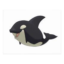 Killer Whale Postcard