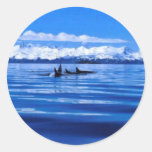 Killer Whale Round Stickers