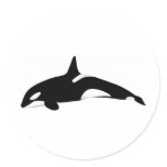 Killer Whale Stickers