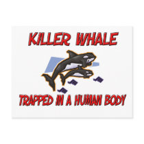 Killer Whale trapped in a human body