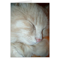 Kimi 02 card
