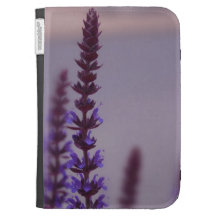 Kindle Case