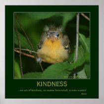 Kindness Baby Oriole Motivational Poster