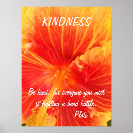 Kindness Inspirational Poster Quote Plato Hibiscus