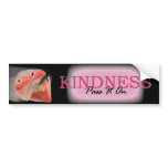 Kindness-Pass It On! bumper stickers