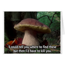 King Bolete - I'd Have to Kill You Card