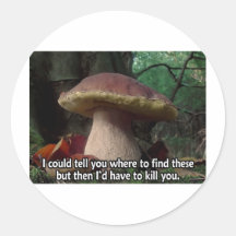 King Bolete - I'd Have to Kill You Stickers