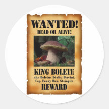 King Bolete - Wanted Dead or Alive Round Stickers