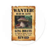 King Bolete - Wanted Dead or Alive Round Stickers