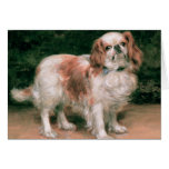 King Charles Spaniel, 1907 Greeting Card