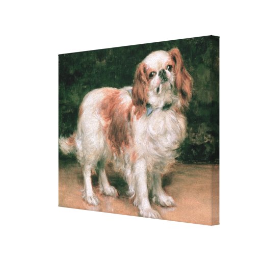 King Charles Spaniel, 1907 Stretched Canvas Prints