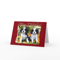 King Charles Spaniel puppies Greeting Card