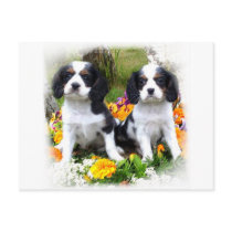 King Charles Spaniel puppies Postcards