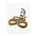 King Cobra 2 Postcard