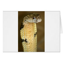 king cobra greeting cards