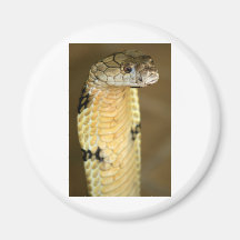 king cobra refrigerator magnet