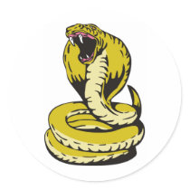 king cobra snake angry attacking