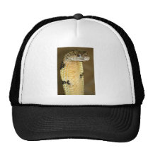 king cobra trucker hats