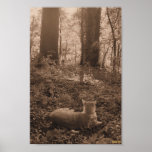 King Of His Domain Posters