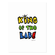 King of the Lab Postcard