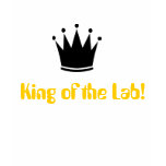 King of the Lab t-shirts