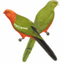 King Parrot Pair t-shirts