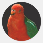 King Parrot Round Sticker