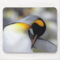 King penguin mousepads