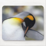 King penguin mousepads
