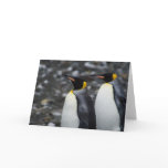 King Penguins Greeting Card