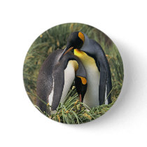 King penguins Lovers Pinback Button